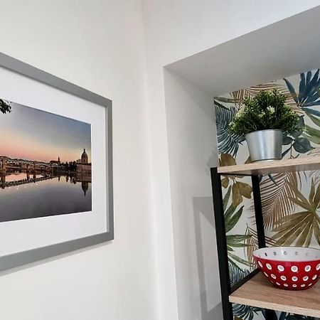 Studio Simone - Terrasse Et Jardin - Tv - Wifi Τουλούζη Εξωτερικό φωτογραφία