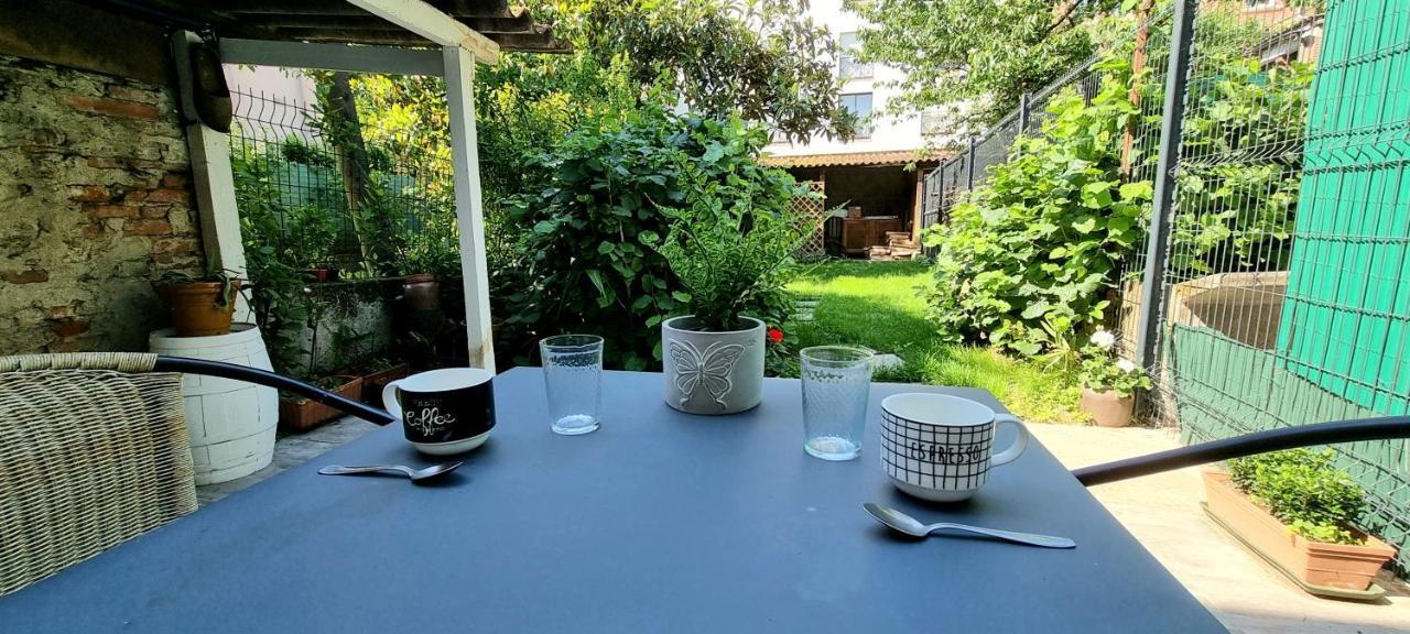 Studio Simone - Terrasse Et Jardin - Tv - Wifi Τουλούζη Εξωτερικό φωτογραφία