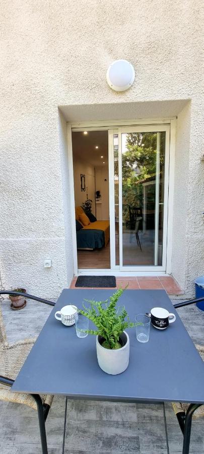 Studio Simone - Terrasse Et Jardin - Tv - Wifi Τουλούζη Εξωτερικό φωτογραφία