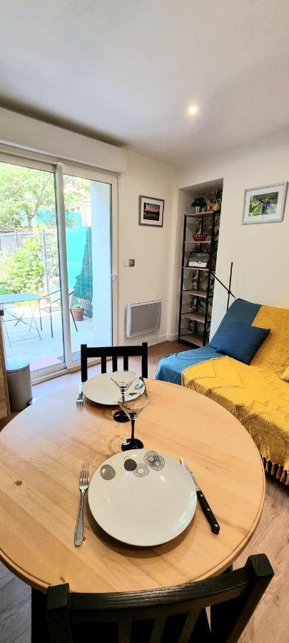 Studio Simone - Terrasse Et Jardin - Tv - Wifi Τουλούζη Εξωτερικό φωτογραφία