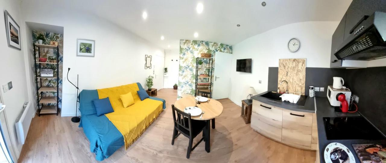 Studio Simone - Terrasse Et Jardin - Tv - Wifi Τουλούζη Εξωτερικό φωτογραφία